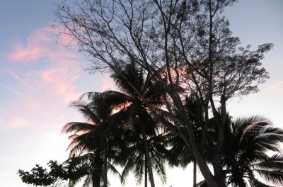 By the time we got back to the lodge, the sun was setting and coloring the sky.