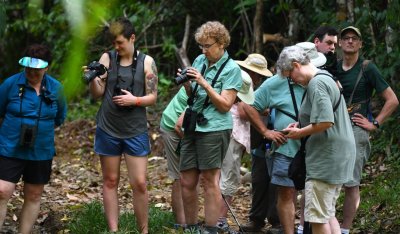 Leaf-cutter ants, of course