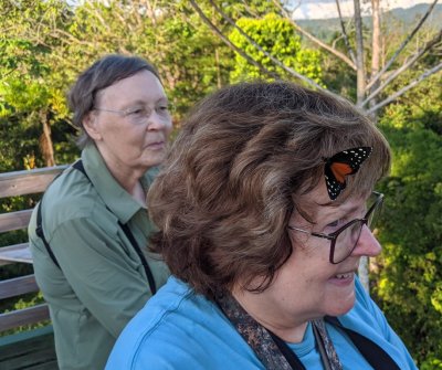 While we were on the tower, a butterfly landed on Mary's head a couple of times while Carolyn looked on--must have like her shampoo.