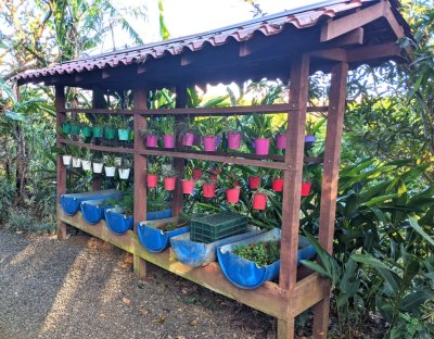 After finding our rooms, we took a walk outside and found this covered 'garden' along the trail--it might have held herbs used by the hotel cooks.