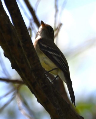 DSC_6808b.jpg