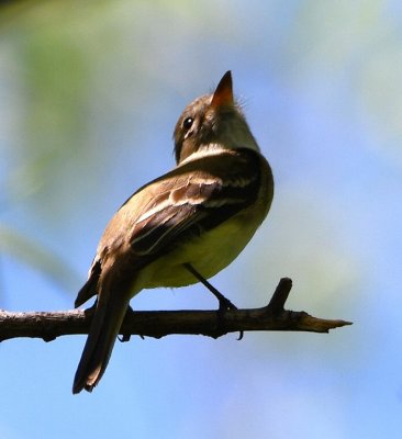 DSC_6845b.jpg