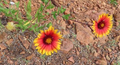 IMG_0899b.jpg