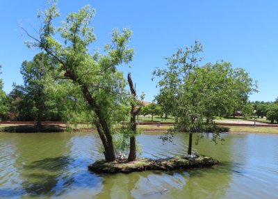 Small island in the lake where ducks were nesting