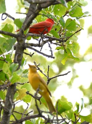 DSC_7127b.jpg