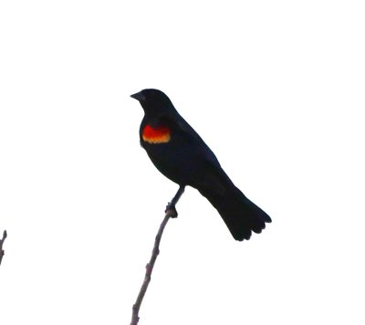 Wichita Mountains Wildlife Refuge, Jan 5, 2021