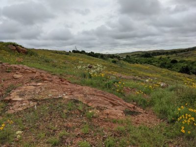 WMWRlandscape