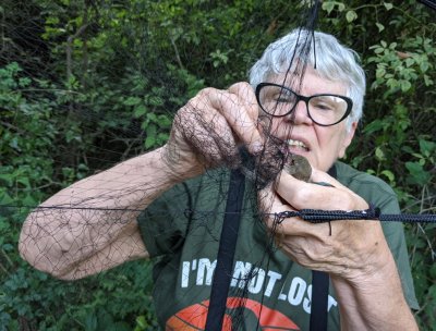 Ann concentrates on safely removing the bird from the net.