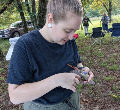 Laura checks her bird's wing feathers.