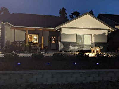 After supper, Pepper showed us his lighting in the front of the house: blue solar along the front and a spotlight on 'the bear' that was Jackie's responsibility to turn on each night.