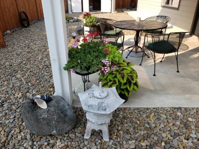 Flowers on the patio