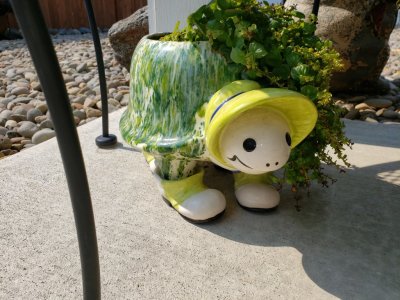 Jackie said Patty Sue made this planter - a turtle with shoes and bonnet!