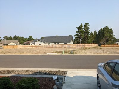The view of the lots across the street (undeveloped so far), west of their house.