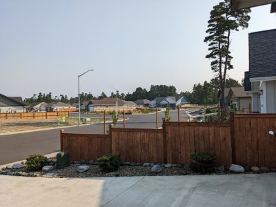 Looking north into their neighborhood