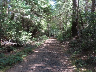 However, when Mary finished getting her gear together and taking pictures of signs, she started down the left trail, thinking we were already out of sight. After much back-tracking by Steve and Jackie, hollering without getting a reply, driving up the hill to the gate and back, Mary wandered back up the trail she was on, we were reunited and all 3 made our way down the short trail to the slough.
[Mary: I am sorry and embarrassed that I took the wrong trail, and I enjoyed it thoroughly!]