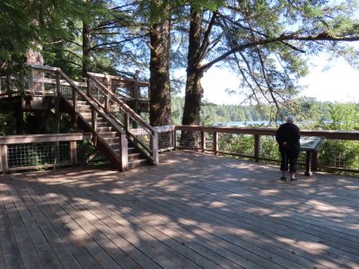 There was a large observation deck and viewing area at the end of the trail.