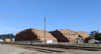 The sky cleared as we drove through the town of Coos Bay and we pulled over to take photos of the giant piles of logs between the railroad tracks and the bay.