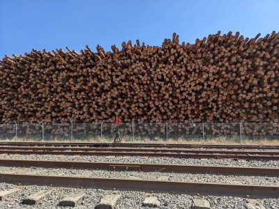 End view of some of the stacked logs