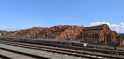 Lots of logs