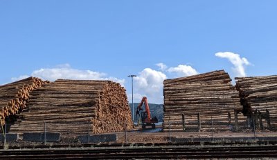 And more logs, with one of the cranes they use to move them around