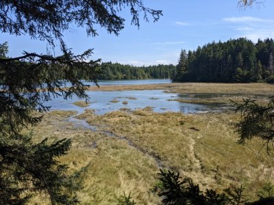 South Slough--the area is a research center for studying coastal waterways and is a refuge for migrating waterfowl, but the birds had not arrived for us this day. Still, beautiful habitat.