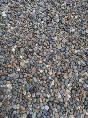 Their gravel yard