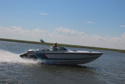 g12/06/1038506/3/172992948.MSp4gJ9U.jpg