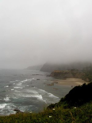 fog