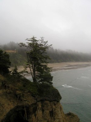 Oregon Coast