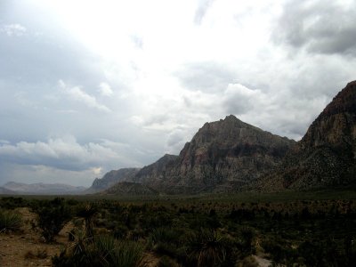 Nevada Desert