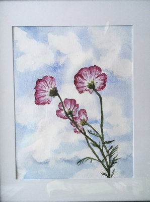 Cosmos against the sky