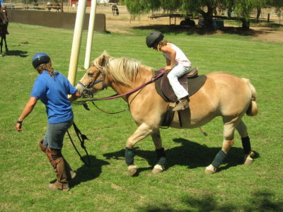 Polo Lessons in Lakeside