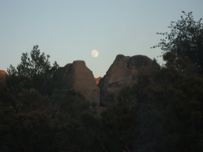 Moon Rise