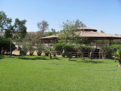 Beautiful grounds