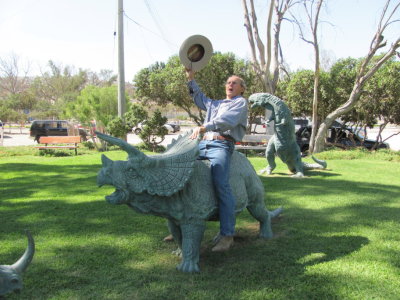 Crazy cowboy
