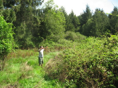 Praying to the God of Blackberries
