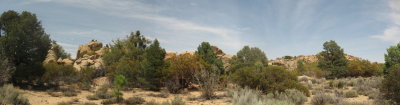 Cabin site on far right nex to Pinion Pine