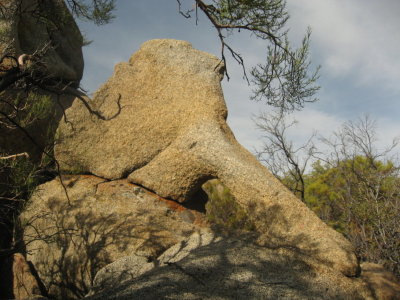Pelvis Leg Rock
