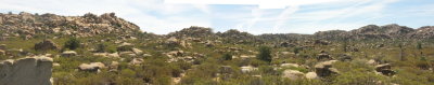 Area behind the cabin site