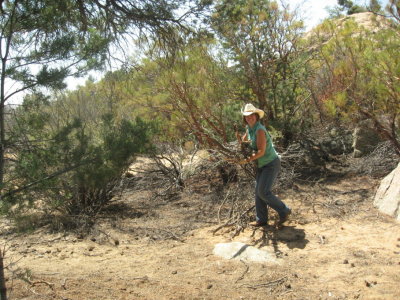 Shrubbery Clearing 5/18