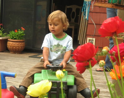 Elijah on the tractor