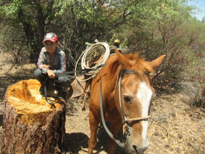 Arturo and Renegado