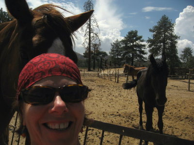 Self Portrait with horses and clouds