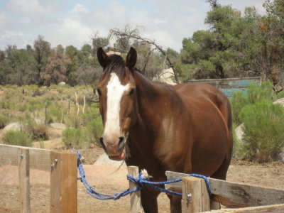 Hidalgo saying hello