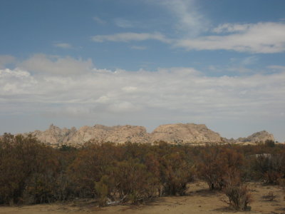 Horses and Clouds at El Topo