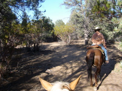 On the trail