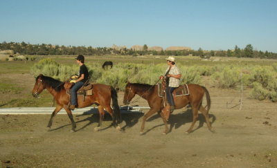 Andre & Kiwi Jeanette heading to the barn
