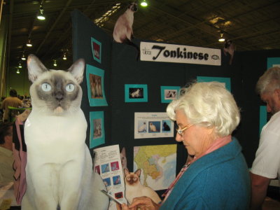 Mom reading about the Tonkinese