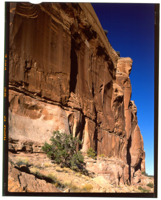 4x5 Canyonlands Rock Detail