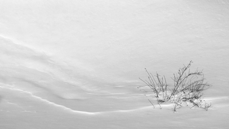 DSC01703 - On Light and Shadows on Snow